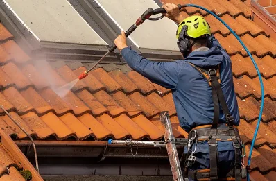 Démoussage et hydrofuge de toiture au Buis